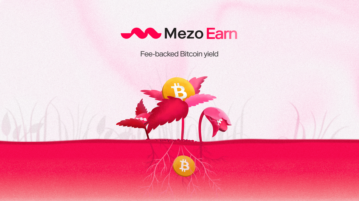Introducing: Mezo Earn
