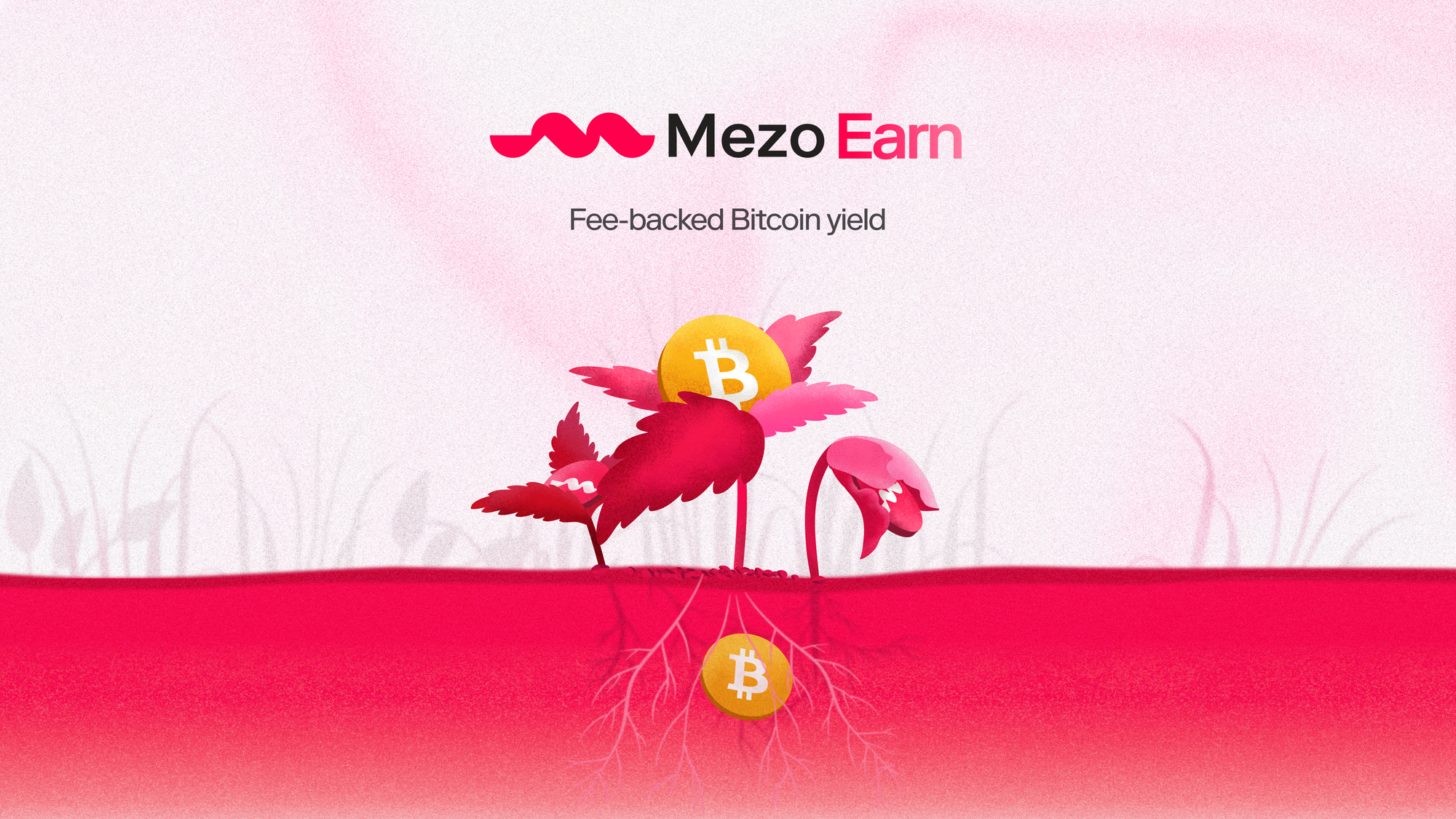 Introducing: Mezo Earn